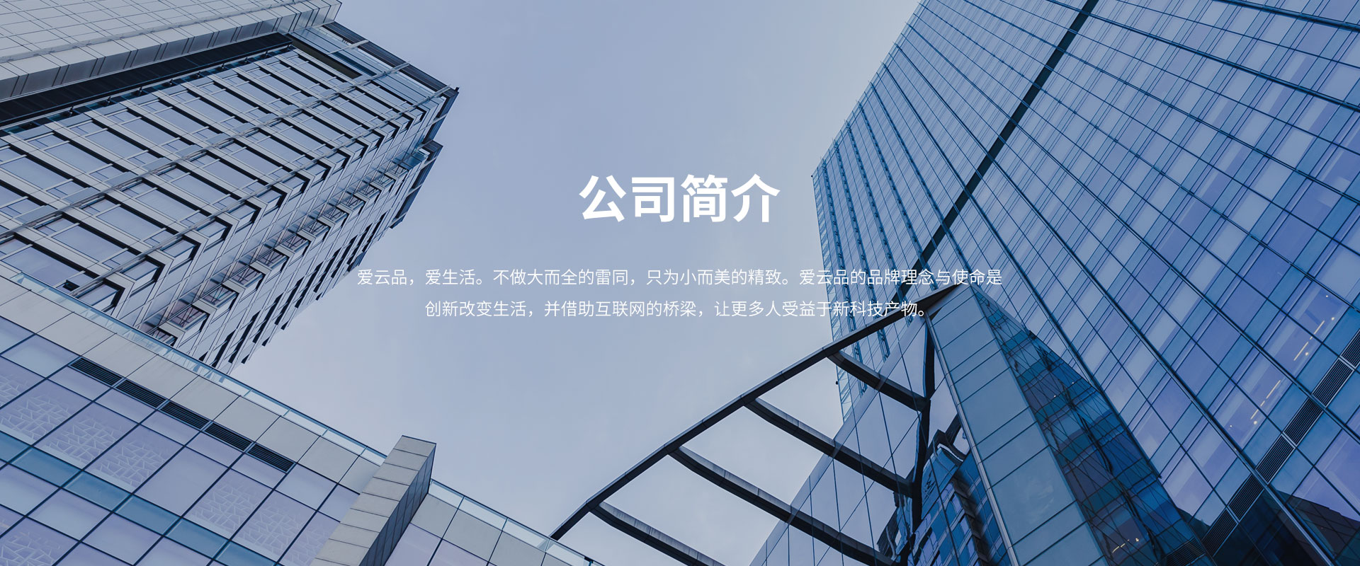 公司介绍